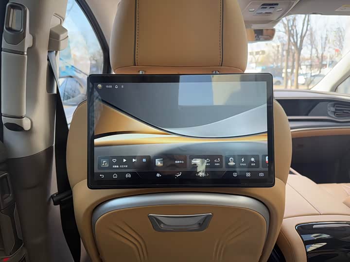 Фото 14 - Denza D9