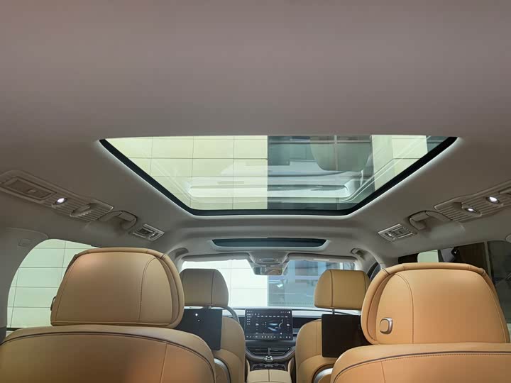 Фото 20 - Denza D9