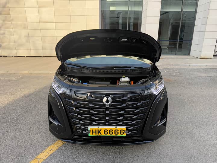 Фото 21 - Denza D9