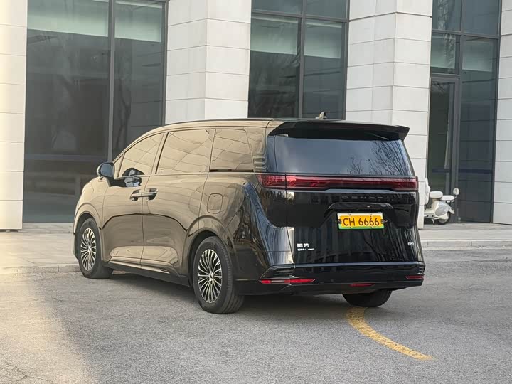 Фото 23 - Denza D9