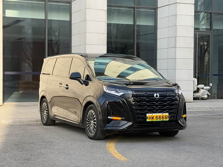 Фото 3 - Denza D9