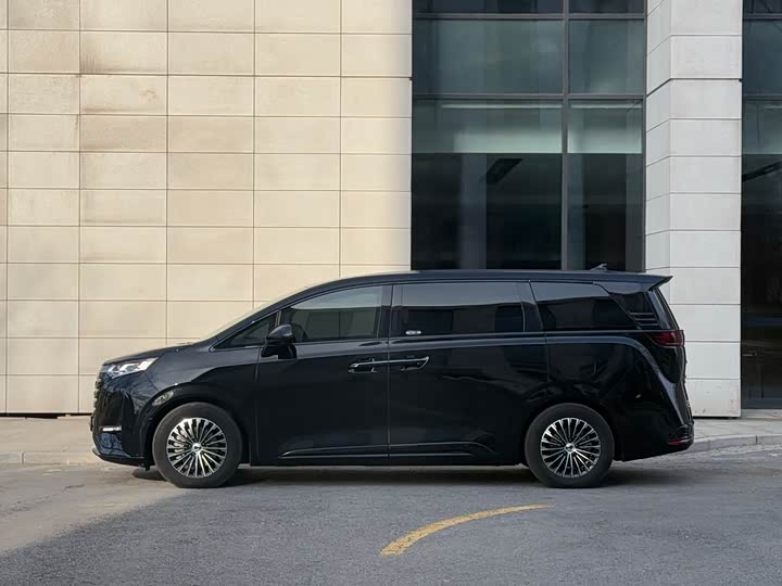 Фото 4 - Denza D9