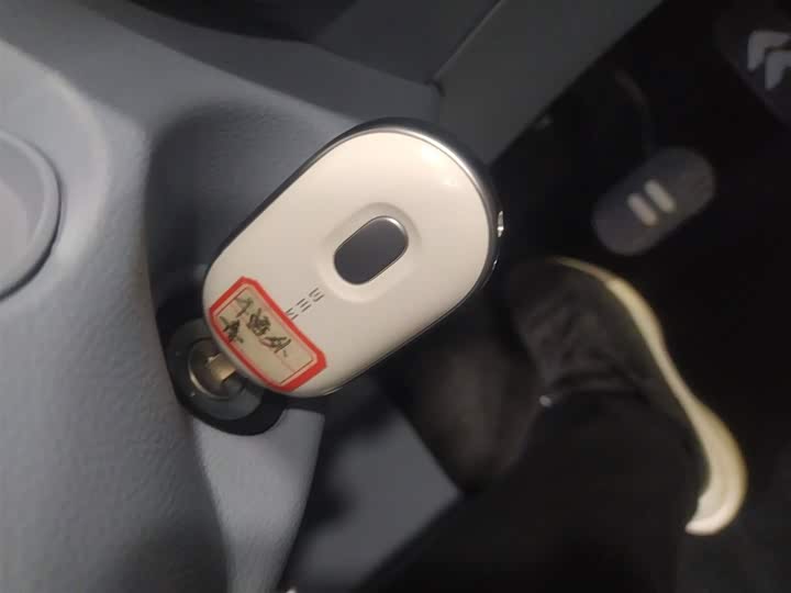 Фото 9 - Bestune Pony