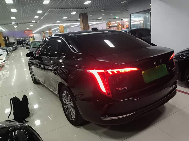 Фото 5 - Hongqi E-QM5