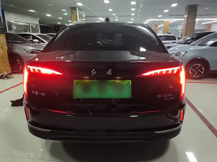 Фото 6 - Hongqi E-QM5