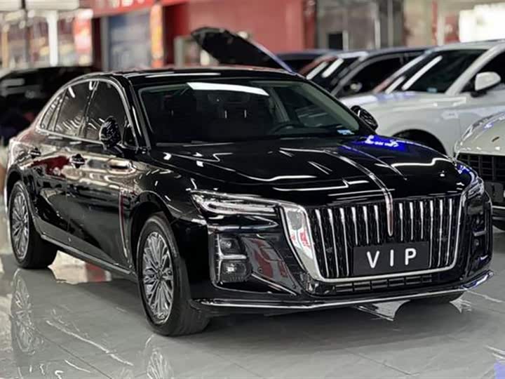 Фото 3 - Hongqi H5