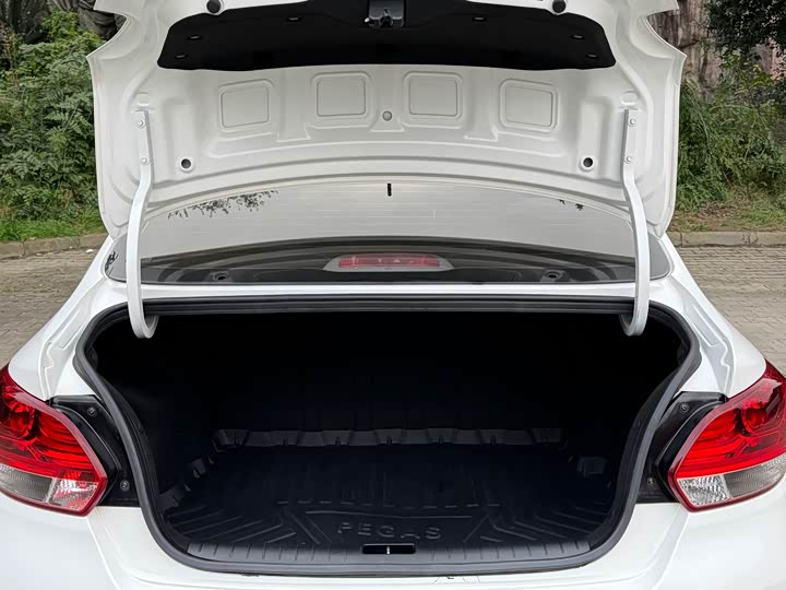 Фото 13 - Kia Pegas