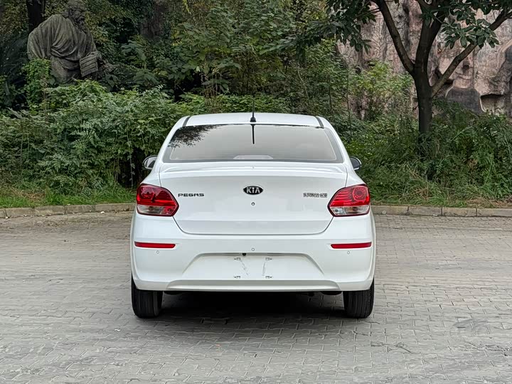 Фото 5 - Kia Pegas