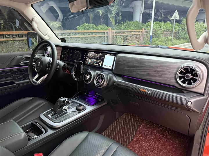 Фото 11 - Tank 300