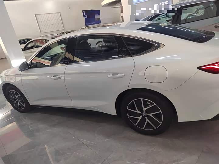 Фото 5 - BYD Qin L