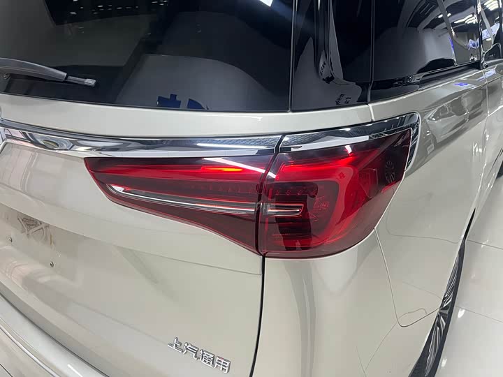 Фото 14 - Buick GL8 ES