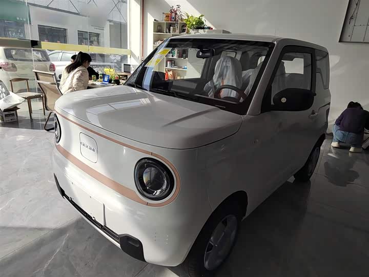 Фото 1 - Geely Galaxy Panda Mini