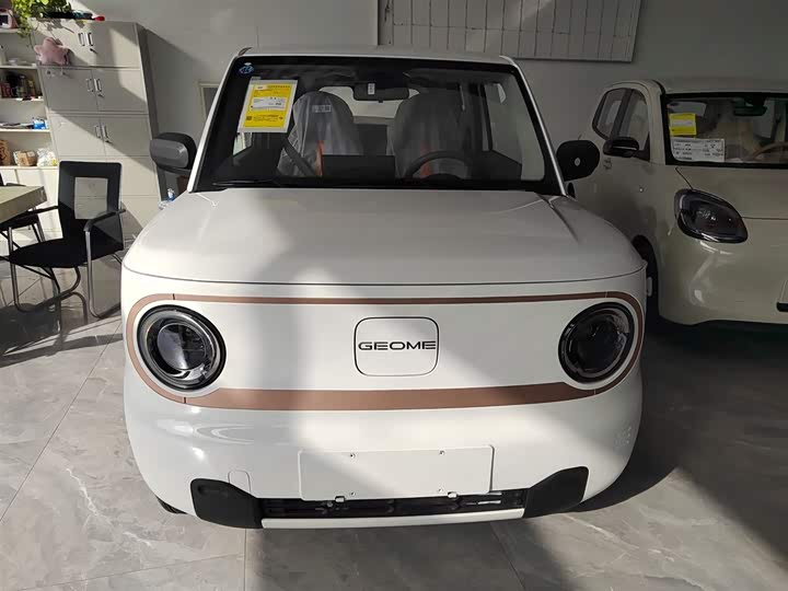 Фото 3 - Geely Galaxy Panda Mini