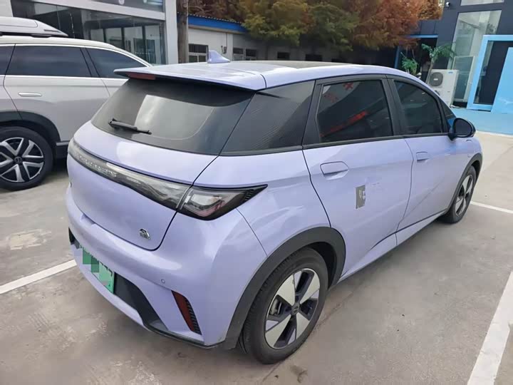 Фото 8 - BYD Dolphin