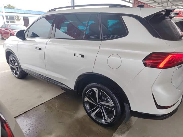 Фото 5 - Roewe RX5 Max