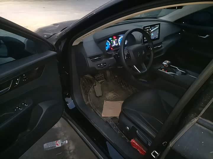 Фото 16 - Hongqi E-QM5