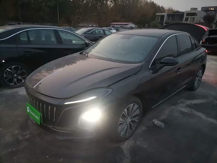 Фото 2 - Hongqi E-QM5