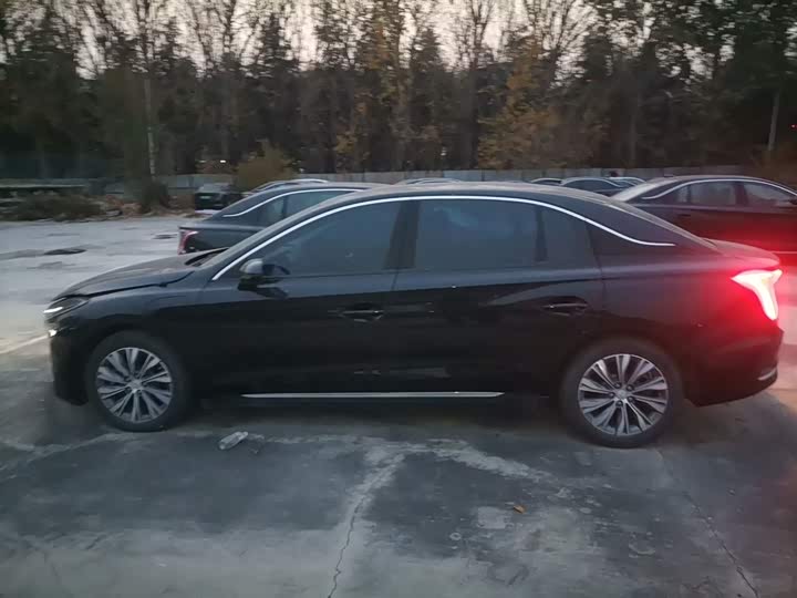 Фото 5 - Hongqi E-QM5