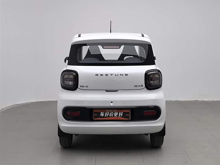 Фото 4 - Bestune Pony