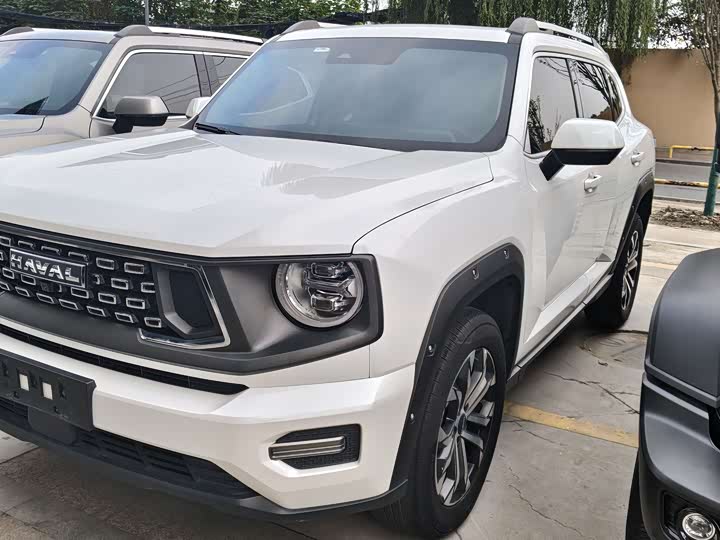 Фото 1 - Haval H-Dog