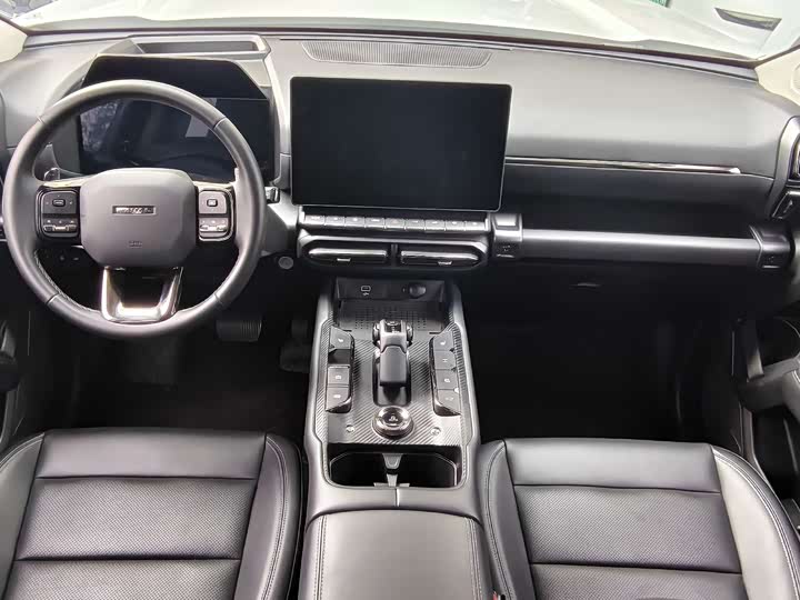 Фото 11 - Haval H-Dog