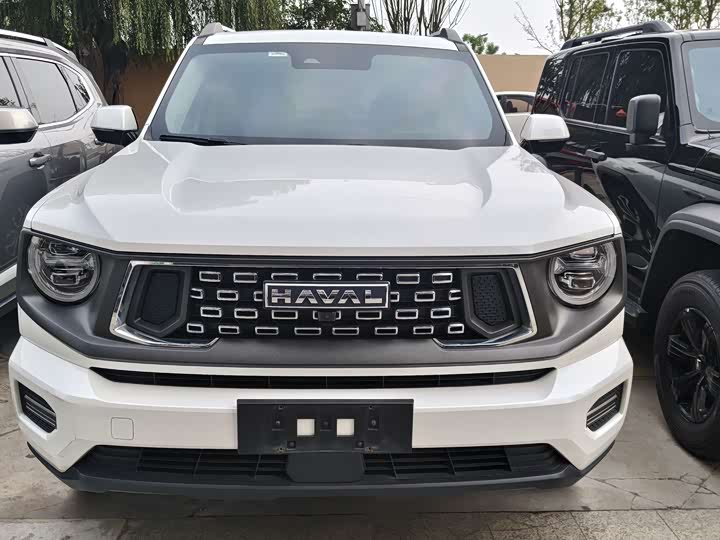 Фото 2 - Haval H-Dog