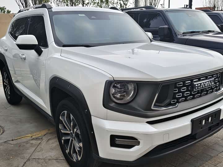 Фото 3 - Haval H-Dog