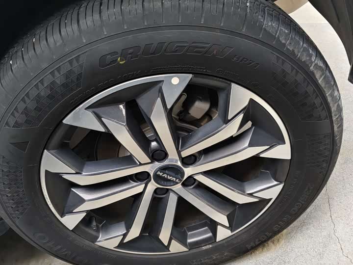 Фото 4 - Haval H-Dog