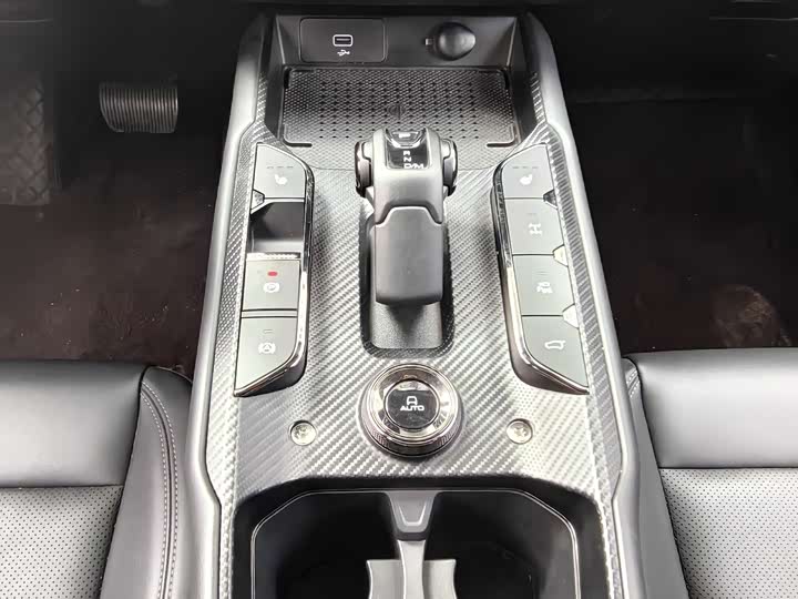 Фото 7 - Haval H-Dog