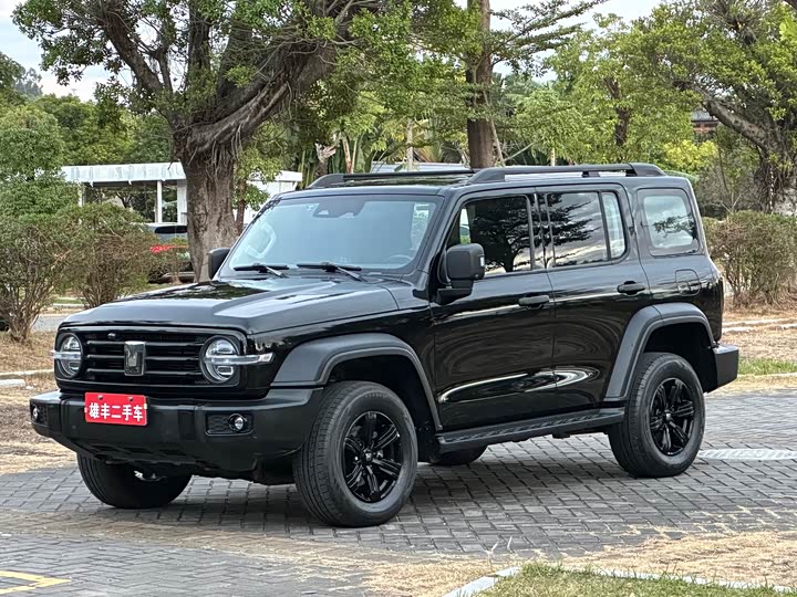 Фото 2 - Tank 300