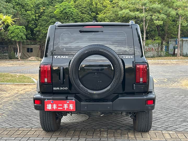 Фото 5 - Tank 300