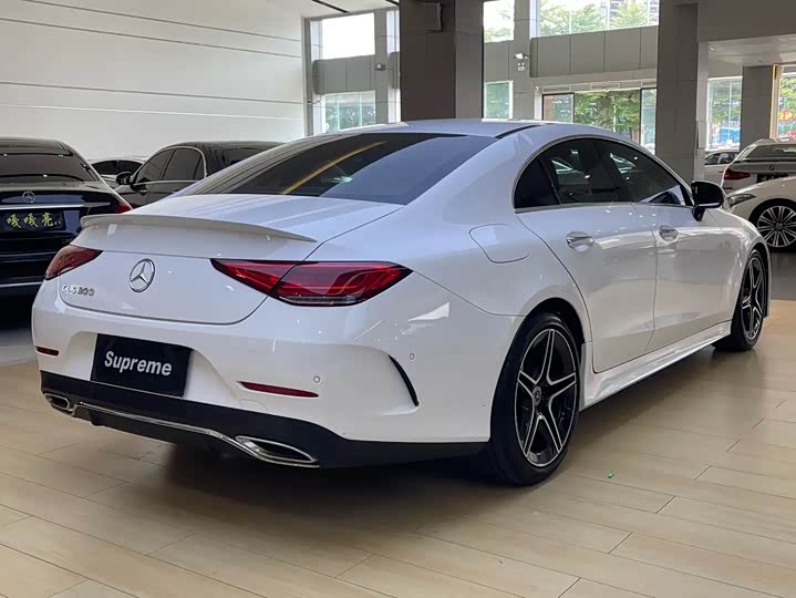 Фото 11 - Mercedes-Benz CLS-Class