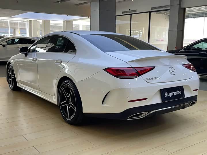 Фото 9 - Mercedes-Benz CLS-Class