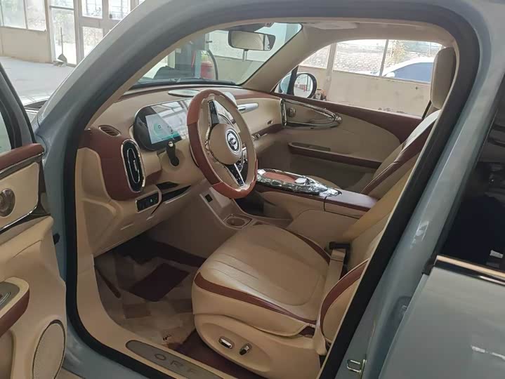 Фото 6 - Ora Ballet Cat