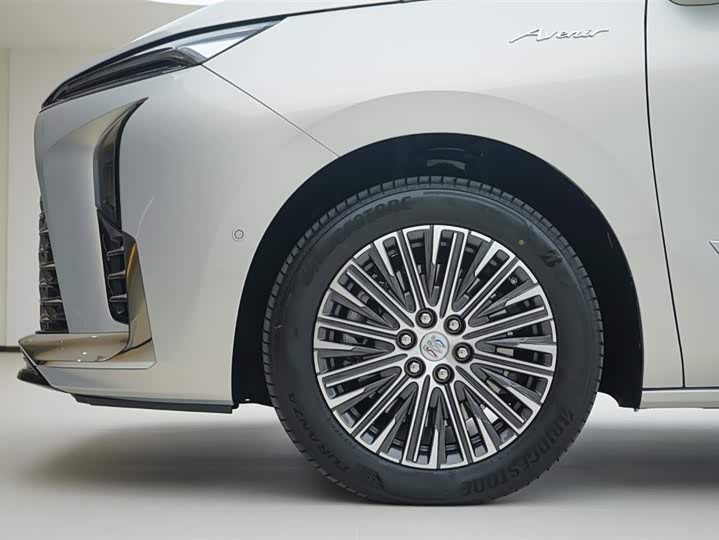 Фото 14 - Buick GL8 Hybrid