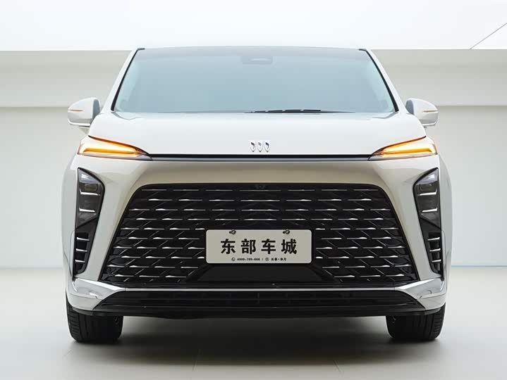 Фото 2 - Buick GL8 Hybrid