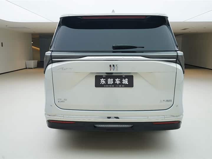 Фото 5 - Buick GL8 Hybrid