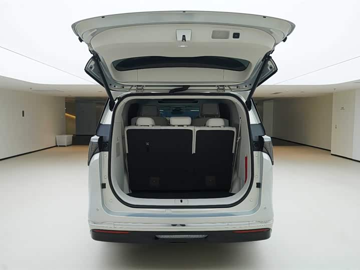 Фото 6 - Buick GL8 Hybrid