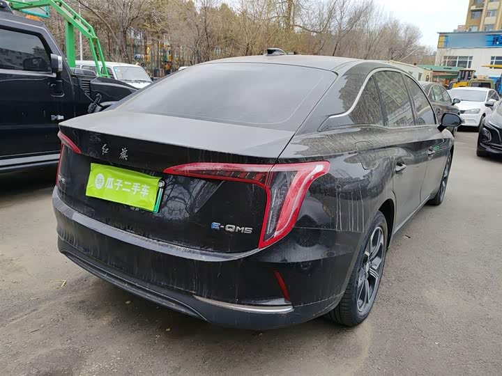 Фото 7 - Hongqi E-QM5