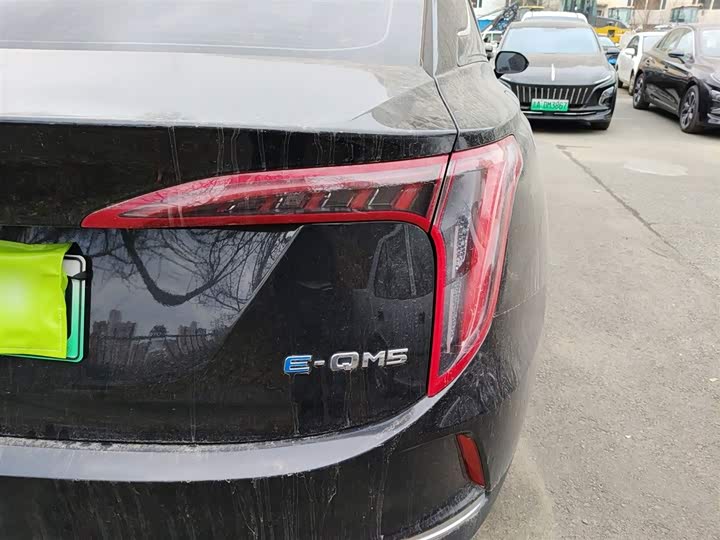 Фото 8 - Hongqi E-QM5