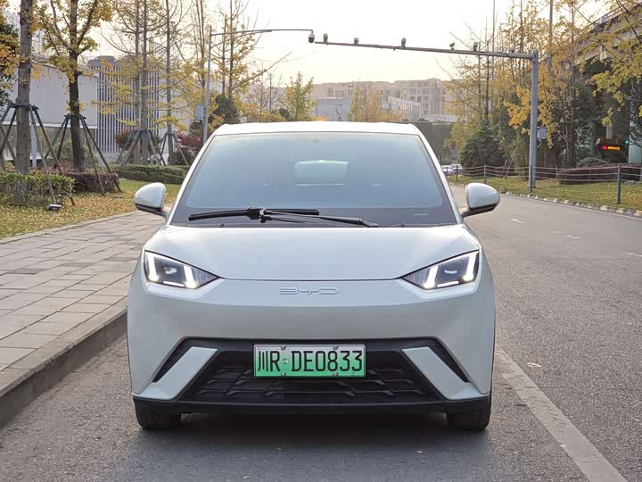 Фото 2 - BYD Seagull