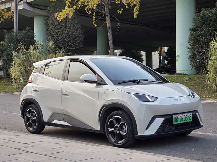 Фото 3 - BYD Seagull