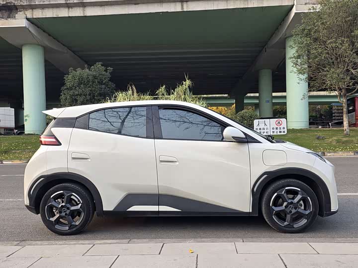 Фото 4 - BYD Seagull