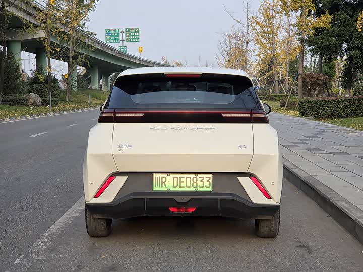 Фото 6 - BYD Seagull