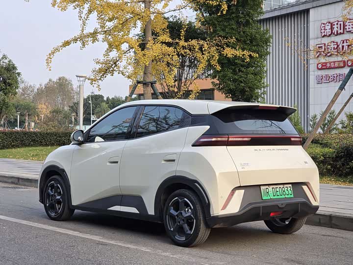 Фото 7 - BYD Seagull