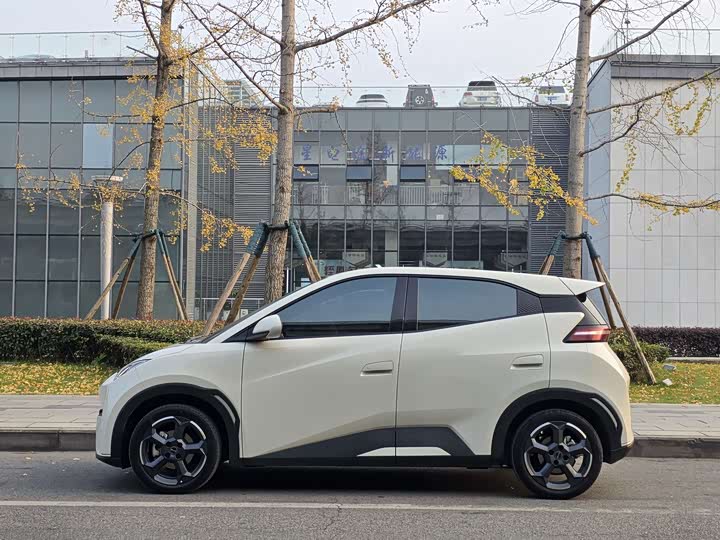 Фото 8 - BYD Seagull