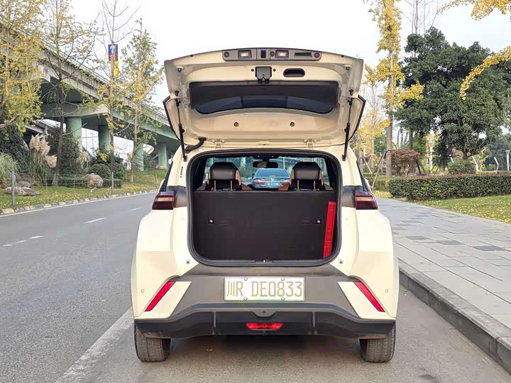 Фото 9 - BYD Seagull