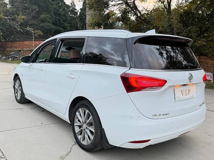 Фото 10 - Buick GL6