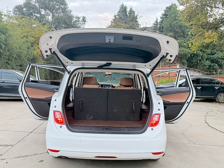 Фото 12 - Buick GL6