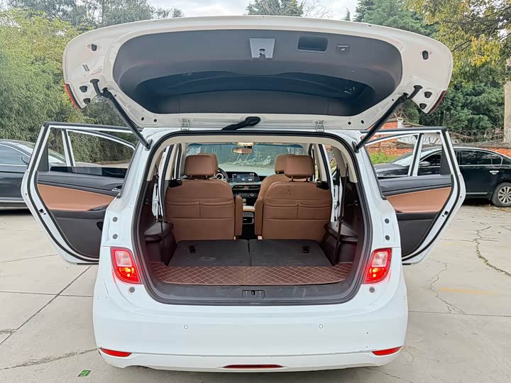 Фото 13 - Buick GL6